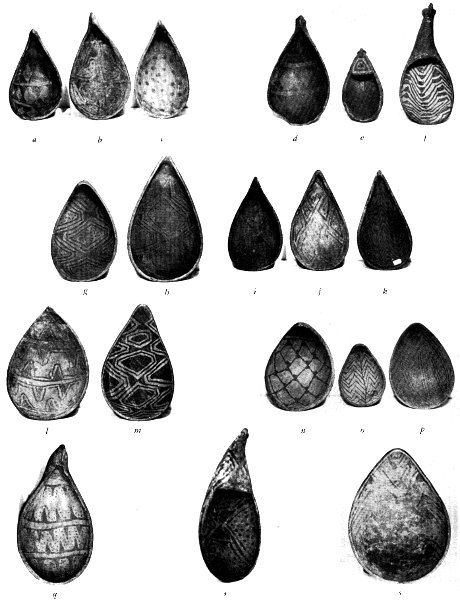 Plate 4.