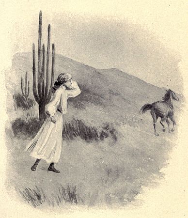 horse running away
