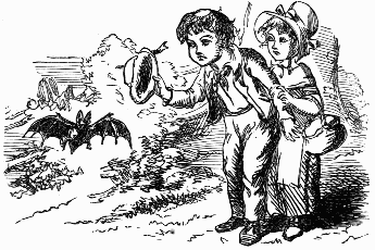 boy and girl trying to get bat under his hat
