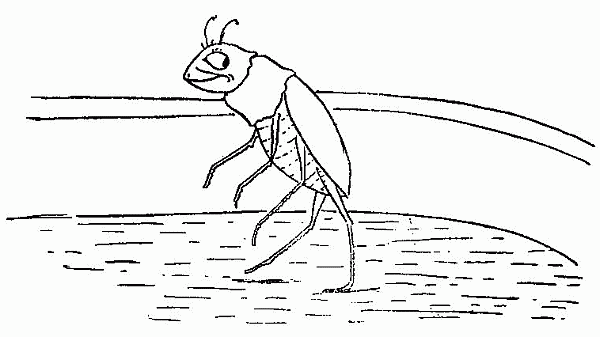 bug walking on water