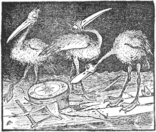Seabirds with compass