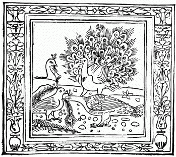 FIG. 23.—The Crow and the Peacock. From “Æsop’s Fables.”
Venice, 1491 (design, 1481).