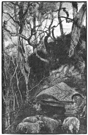 FIG. 80.—“And silent were the sheep in woolly
fold.”—KEATS, St. Agnes Eve.
Engraved by J. G. Smithwick.