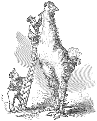 Man pointing gun to Shanghae cock's head from atop a ladder.