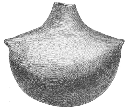 Fig. 257