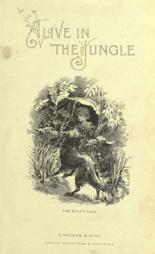 Pre-title page