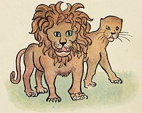 fierce lion and lioness