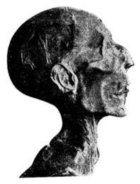 Tête de la momie de Ramsès II
