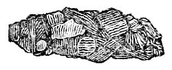Stone Nest of Caddis-worm