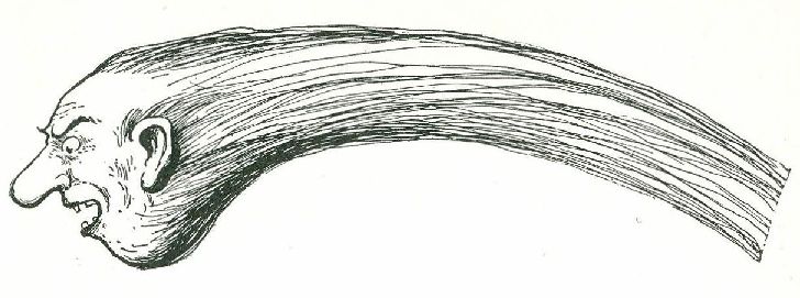 0061m