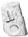 No. 46. A Mould of Mica-schist for casting Copper
Implements (8 M.).