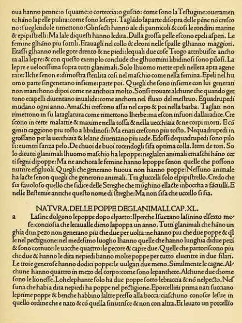 PAGE FROM THE 'PLINY'