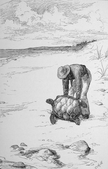 CAPTURING A TURTLE.--PAGE 66.