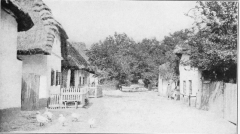 THE SLAVIC HOME IN HUNGARY
A peaceful, little village surrounded by fields of poppies and maize.