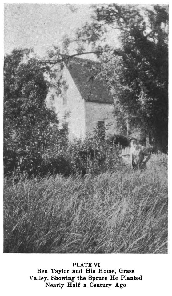 Ben Taylor. Plate06