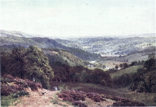 VALE OF ALBURY, FROM ST. MARTHA’S HILL.