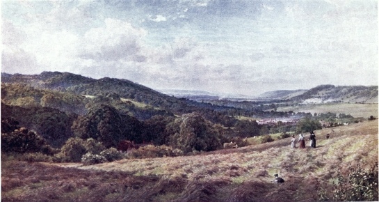 THE VALE OF DORKING.