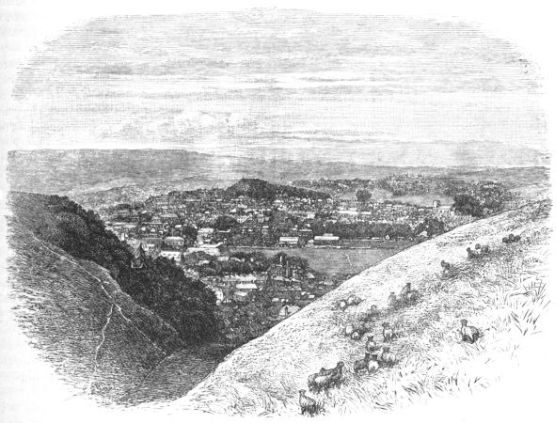 From a Photograph by W. S. Branch, Lewes