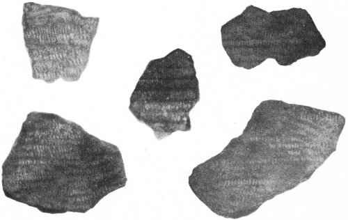 The woven basketry fabric which produced these impressions is among the earliest recorded in eastern North America.