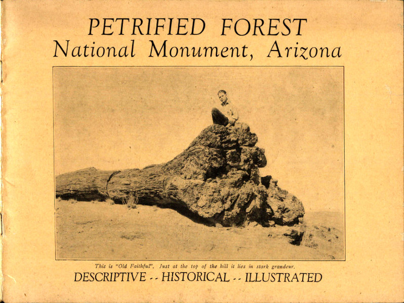 Petrified Forest National Monument, Arizona