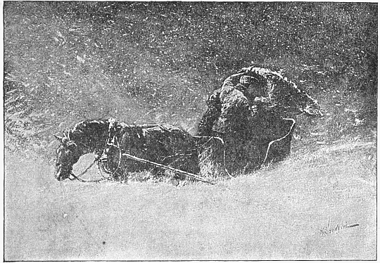 horse up to stomach in snow, sleigh tilted