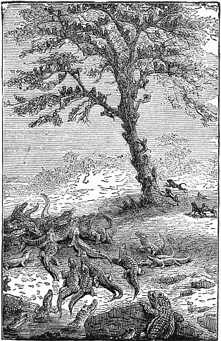 Tree with monkeys climbing up it and group of crocodiles on ground