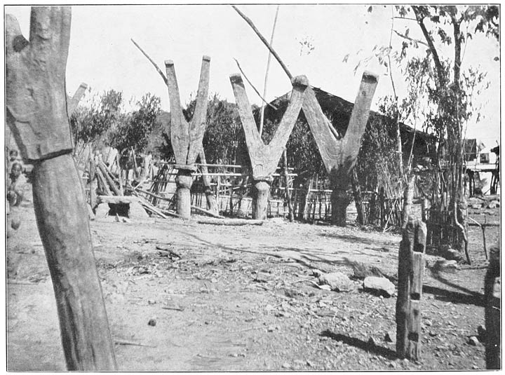 Khawtlang Posts Erected to Commemorate the Slaying of Mithans at a Feast.