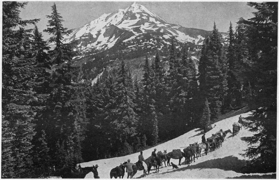 Pack Train Descending to Hunt’s Cove. Mount Jefferson in the Distance.