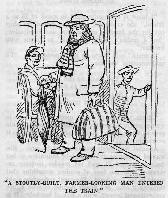 A Stoutly-built, Farmer-looking Man Entered the Train 164 