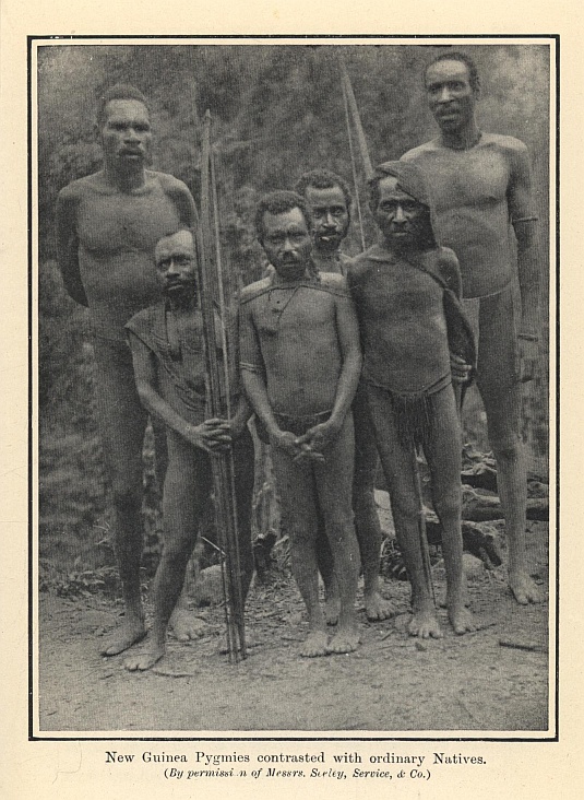 New Guinea Pygmies contrasted with ordinary Natives. (By permission of Messrs. Seeley, Service, & Co.)