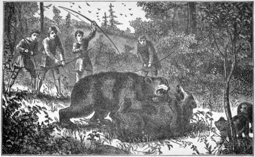 The Bear Fight