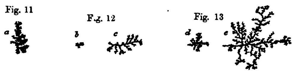 Figures 11, 12 and 13. Dendrites on Fling Hatchets 