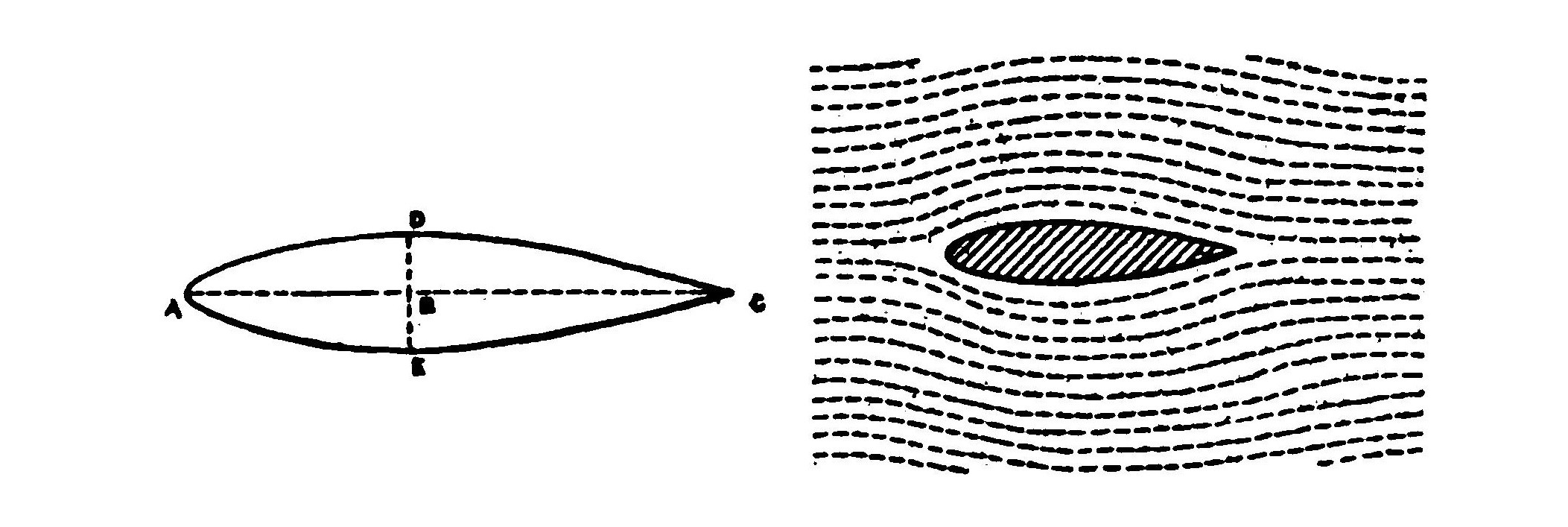 FIG. 8. Diagram illustrating the ichthyoid shape and how smoothly it slips through the air without creating an eddy.