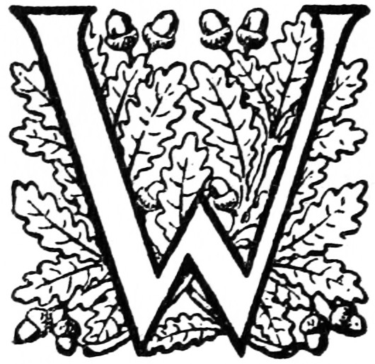 W W