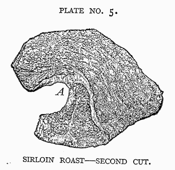 SIRLOIN ROAST--SECOND CUT. SIRLOIN ROAST--SECOND CUT.