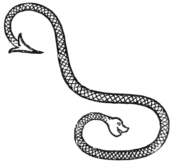 Heraldic snake.