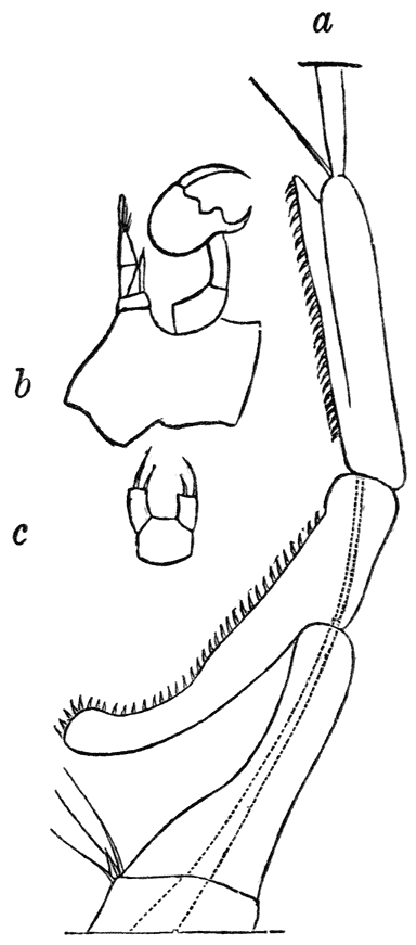 Fig. 16.