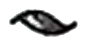 image004