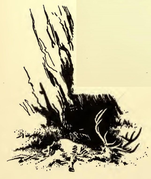 0146m