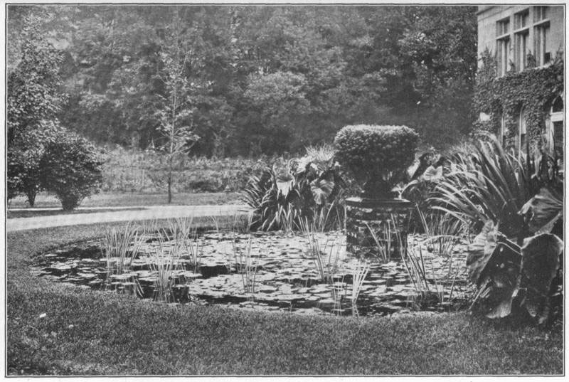 X: A shallow lawn pond, containing water-lilies,
variegated sweet flag, iris, and subtropical bedding at the rear;
fountain covered with parrot’s feather _(Myriophyllum
proserpinacoides_).