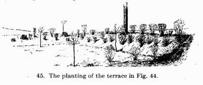 [Illustration: Fig. 45. The planting of the terrace in Fig. 44.]