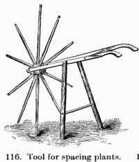 [Illustration: Fig. 116. Tool for spacing plants.]