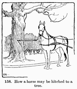 [Illustration: Fig 158. How a horse may be hitched to a tree.]