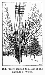 [Illustration: Fig. 164. Trees ruined to
allow of the passage of wires.]