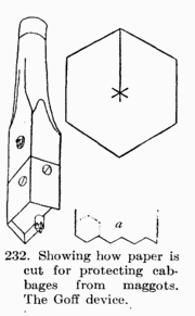 [Illustration: Fig. 232 Showing how paper is
cut for protecting cabbages from maggots. The Goff device.]