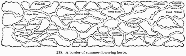 [Illustration: Fig. 238. A border of summer-flowering herbs.]