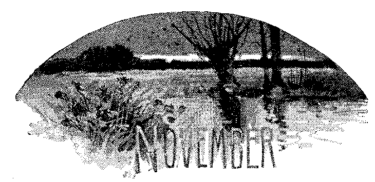 November