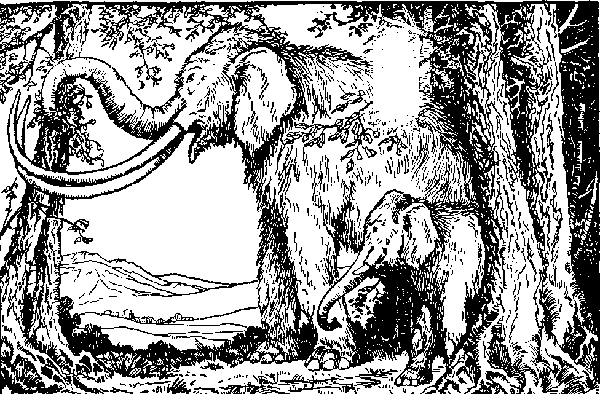 The Mastodon