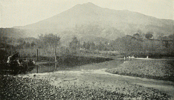 MOUNT TAMALPAIS