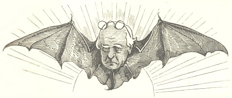 Bat with man’s face